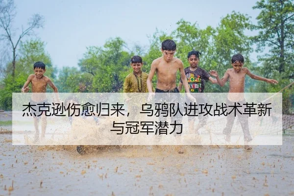 杰克逊伤愈归来，乌鸦队进攻战术革新与冠军潜力